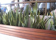 Kwikfynd Indoor Planting
bartonact