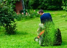 Kwikfynd Lawn Mowing
bartonact
