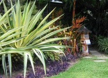 Kwikfynd Tropical Landscaping
bartonact